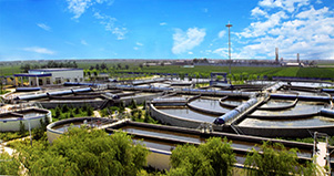 ��˾��(ji��n)��